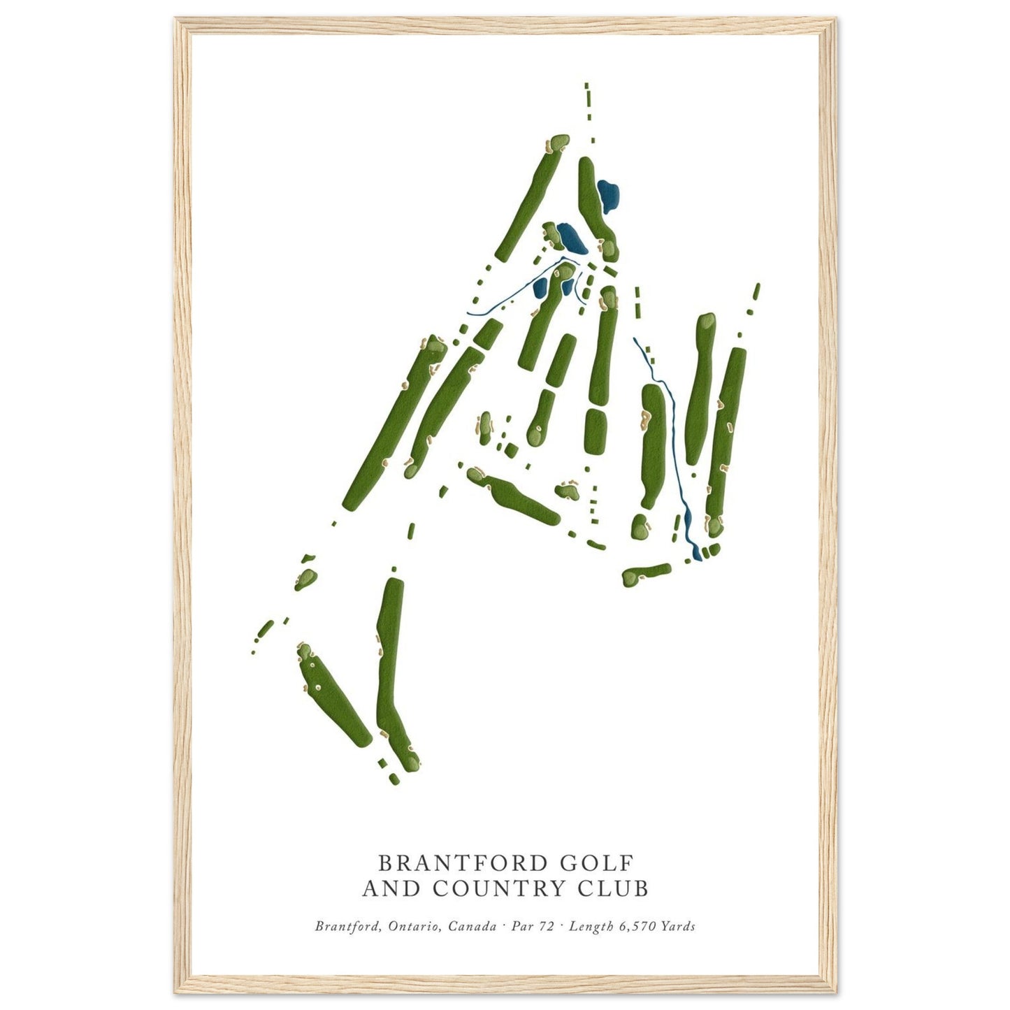 8b6370a9-b770-4fd9-bf06-7855c3a63599