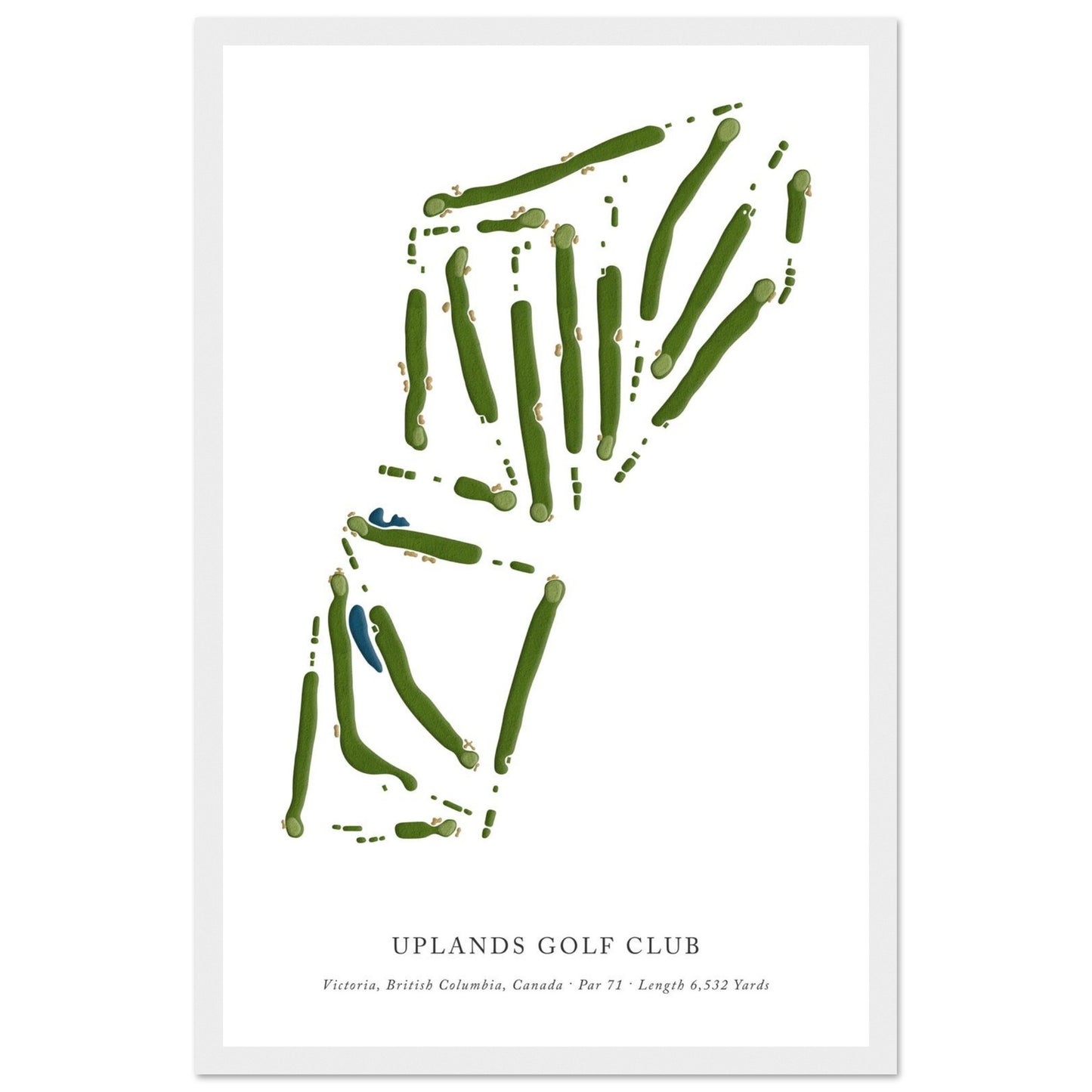 e18a896e-0a67-468f-806f-c19742329ecd